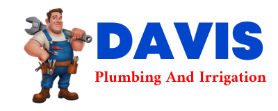 Trusted plumber in SACHSE